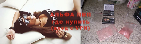 прущие грибы Переславль-Залесский